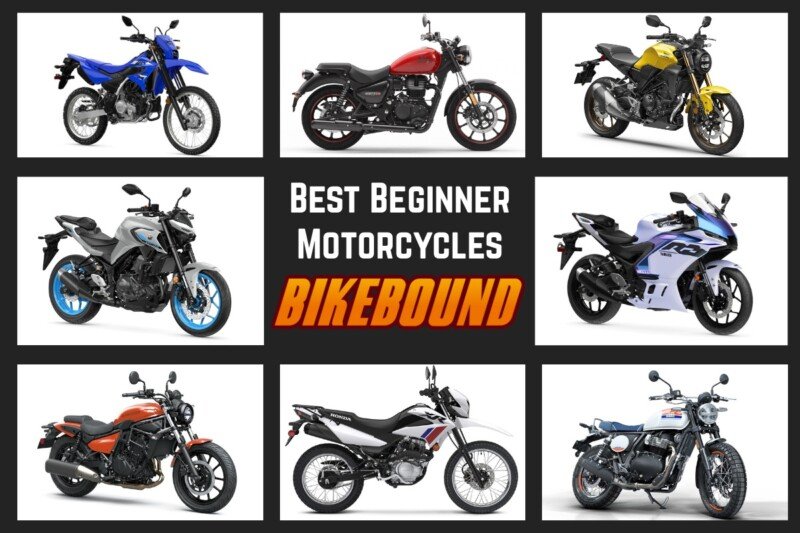 Best Beginner Motorcycles Under $8,000 in 2026 for New Riders